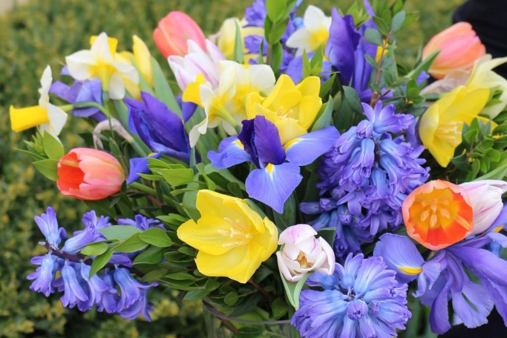 Featured image for “2026 Flower Displays Selected”